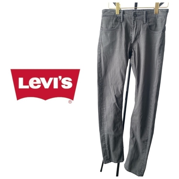Levi's Other - LEVI’S Rare Vintage 511 Carpenter Jeans | Grey | 32/34 | Stretch | Slim